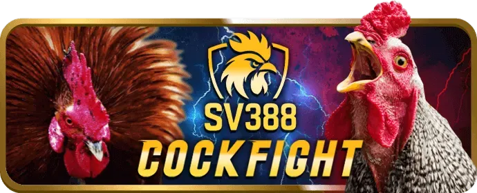 Hỗ Trợ 24/7